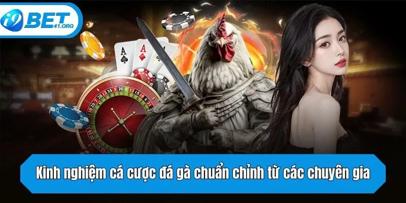 Kinh nghiệm cá cược đá gà chuẩn chỉnh từ các chuyên gia