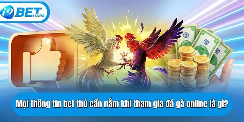 Mọi thông tin bet thủ cần nắm khi tham gia đá gà online là gì?