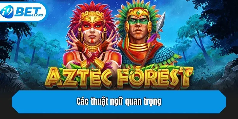 Các thuật ngữ quan trọng