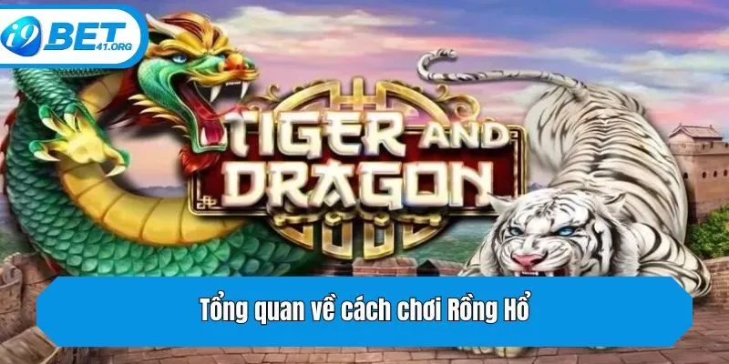 Tổng quan về cách chơi Rồng Hổ