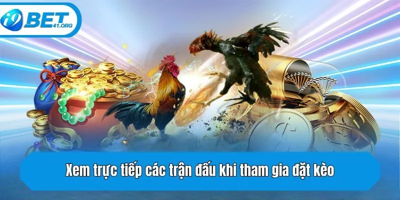 Xem trực tiếp các trận đấu khi tham gia đặt kèo